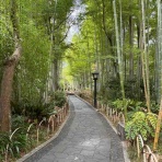 名工大水泳部泳跡