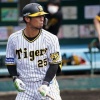 日ハム江越大賀 .208 22本 37打点