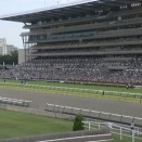 【注目3歳馬】5月17日・東京4R（芝1800m）に出走予定の注目馬は...？