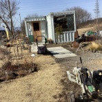 かえるのひとりごと