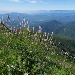 （続）東北の山遊び
