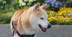 あ、晴れてきた♪