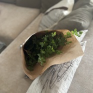 やっと買えた〜♪