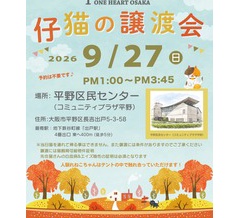 お礼<(_ _)>　＆　嬉しいお知らせ　２５’ぱーと５６　-コアラくん-