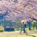 今年の花見を極めたり！　by T.