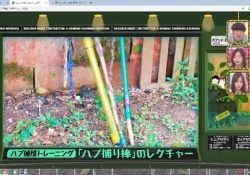 【乃木坂工事中】スタッフ細かすぎだよｗ”ヨメアザラシ”出現であのシーン再現中ｗｗｗ