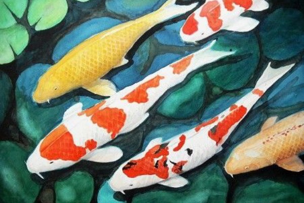錦鯉 水彩画 Amazon.co.jp: 村井曠光 作 『錦鯉』 絵画 水彩画 動物画 水面