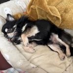 Fun☆Run 毛糸のマラソン日記◆