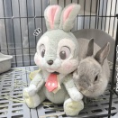 うさぎのルリ(1/18追記)