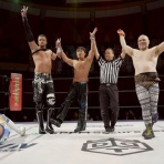 HARASHIMAの｢へろへろ日記｣