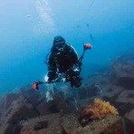 水先案内人の徒然日記