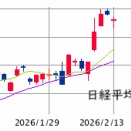 東京市場（2/13）　大幅続落も良識的な利確調整の範疇