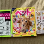 黄昏時の落としもの