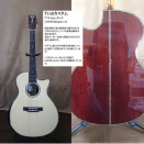 T14Bアディロンダック+マダガスカルローズ