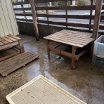 ヤギ飼ってみた