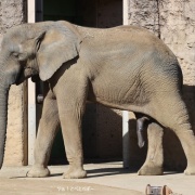 砥夢くんに会いに行ってきた2025
