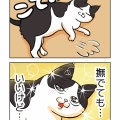 猫沼に落とされるキッカケになった猫の話。1/2