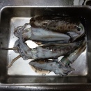 ・・・、笑いしか出てきませんでした。