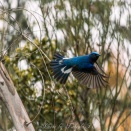 GW期間中の営業について