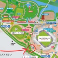 【満席】6月14日（日）横浜開催 犬なしリードワークワークショップのお知らせ