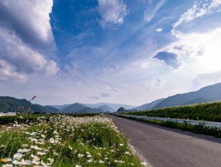 夫「やっぱ大きい車はいいな」店員「ご家族でゆったり乗れるのでオススメは～」妻「この人△△さんと車内でイチャイチャしたいだけなんです。いらないです」夫「え」