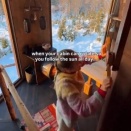 とても良い。ハンドル回すと小屋全体が回転するタイプのツリーハウス