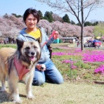 保護犬☆一星14年間の物語