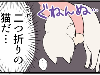 嗚呼、涙の「二つ折り猫」の葛藤が垣間見えた話
