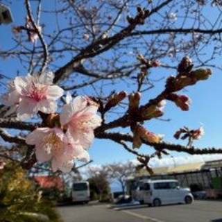 不登校365日24時間　フリースクール元気学園 ブログ