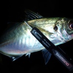  釣果で証明する釣りの理論 ── 私が思うところ。