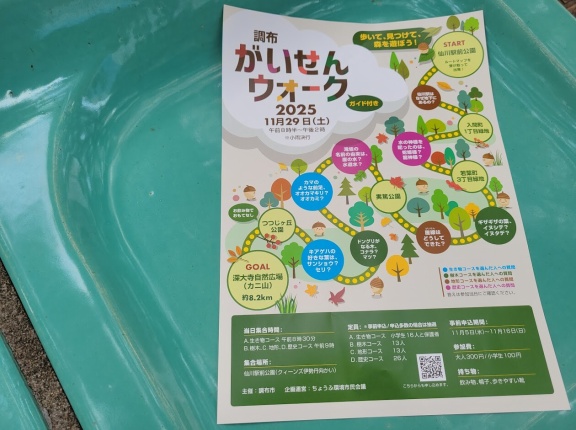 調布がいせんウォーク2025が11月29日に開催を予定 どのようなイベントかをご紹介