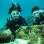 屋久島ﾀﾞｲﾋﾞﾝｸﾞｽｸｰﾙたつのこ