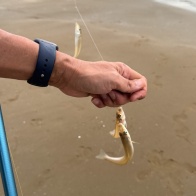 千里浜でキャンプ×釣り