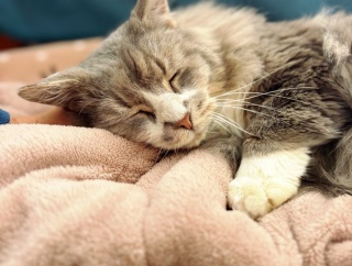 絶好調村尾とシャンプー問題。