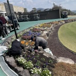 お気楽隠居のゴルフ未練