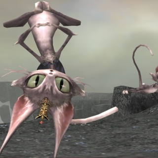 【FFXI】あひるの庭。