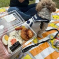 愛犬と一緒に舎人公園でピクニック。*\(^o^)/*