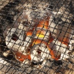  もう疲れました････七輪と練炭買いました。止めないでください。あと牛肉も買った。→･･･！