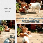 笑う門にはちゃ～んと福が来るのです♪(＾＾✿)