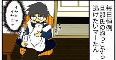 【猫との暮らし】ボクぬいぐるみとちゃうねんで！