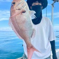 7月12日の釣果報告🐙🐙🐙🐙🐟🐟🐟