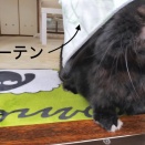 〜 冬仕度 〜