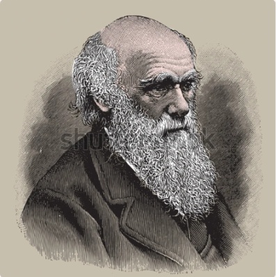 スクリーンショット 2026-02-09 192225