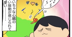 鳥さんのちいちゃくて早い鼓動、愛おしさ