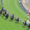 6/10東京 3歳未勝利芝2400m【クイーンズレイン《4戦目》】