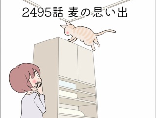 あんこ＆麦2495 麦の思い出