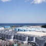 ロシアの国立研究機関「福島第1原発処理水に懸念なし。海の魚介類は何の疑いもなく食べられる」