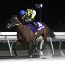 【当たる！？レース予想】～2026.09.22(休火) 12回門別4日目～ メインは第7回ウポポイオータムスプリント〔H2〕！