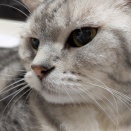 爺さん婆さんが惚けてきた