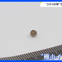 【不正受験】早稲田大が大学院生5人の入学取り消し　英語能力試験「TOEIC」の不正受験めぐり